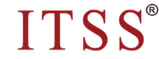 ITSS 2级