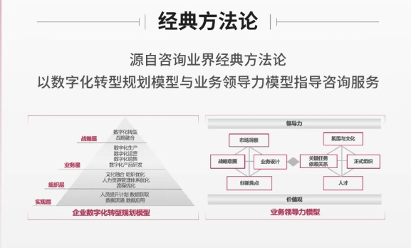 产品资讯｜一图了解赛捷数智咨询